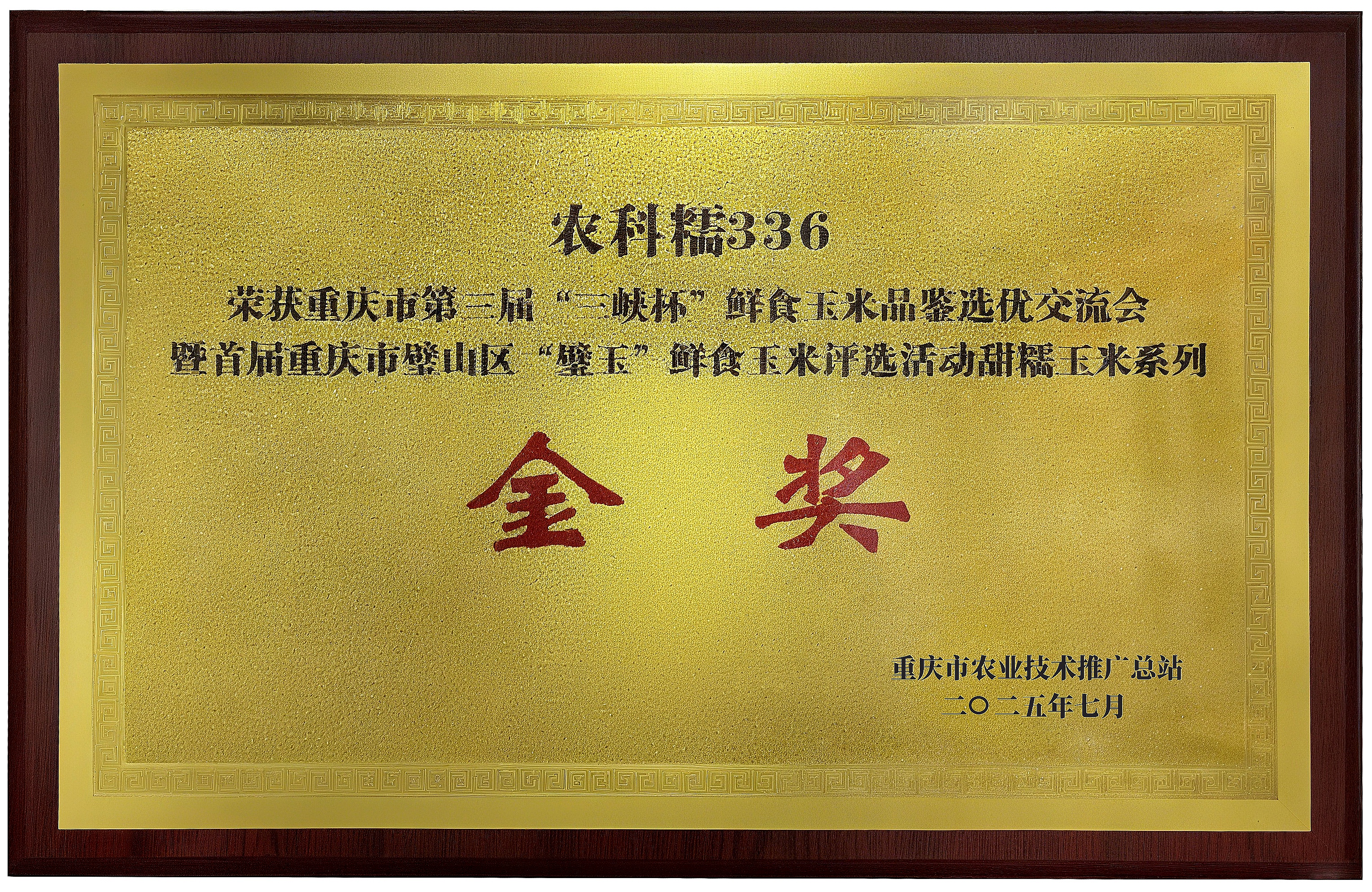 金奖