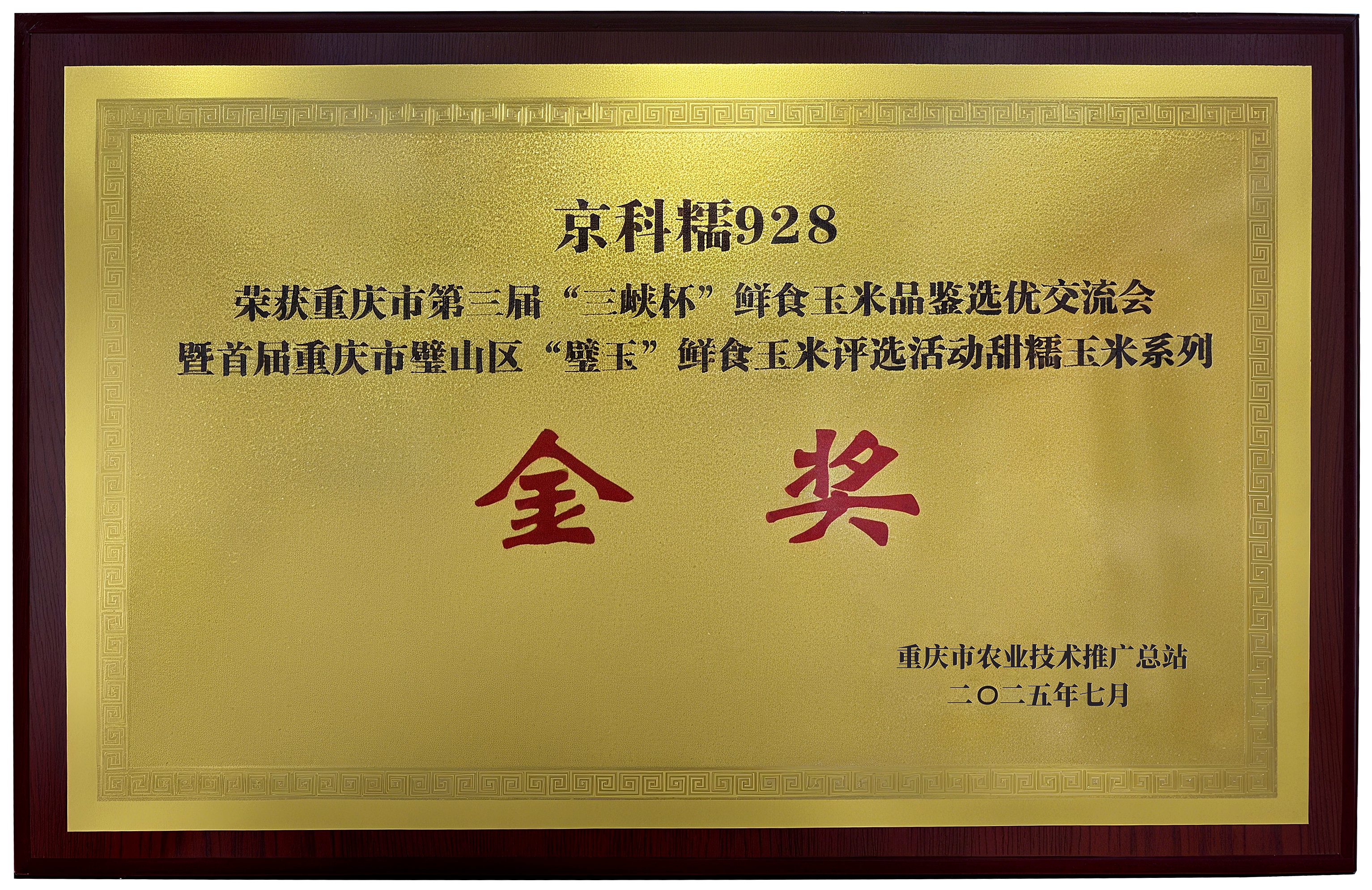 金奖